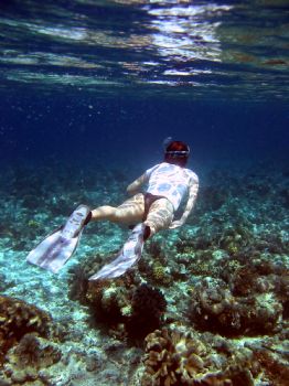 snorkelling in sulawesi by Huw Jenkins 